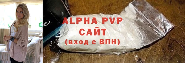 тгк Бердск