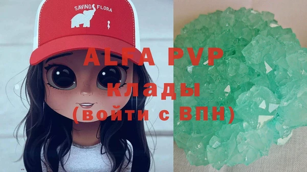 гашик Михайловск
