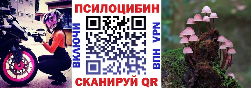 магазин продажи   Сусуман  это наркотические препараты  Псилоцибиновые грибы Psilocybe 